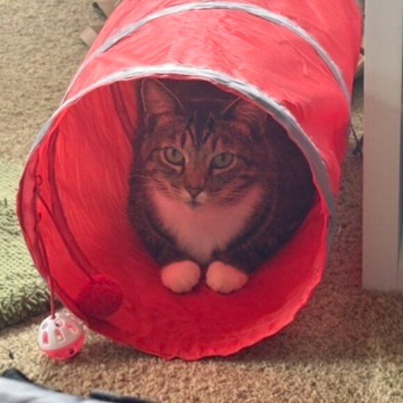 Meet your Posher, Jay - Picture 5 of 9